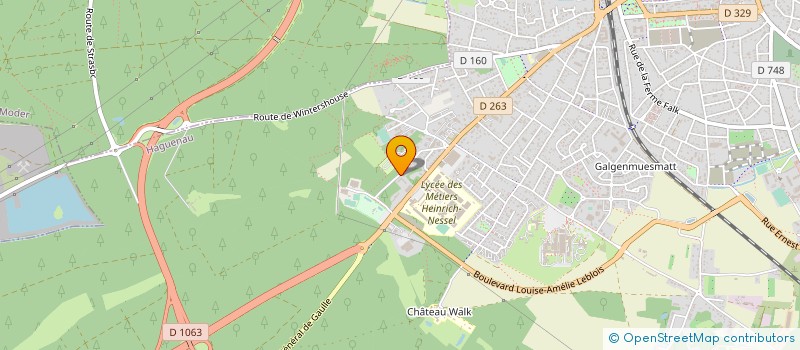 localisation de l'entreprise MADAME MALIKA ZANNOUTI  HAGUENAU