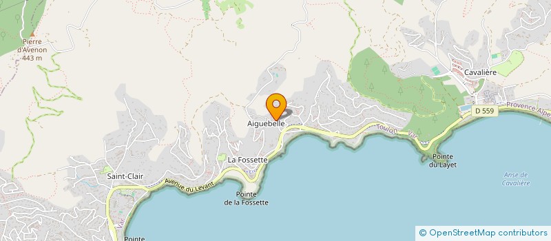 localisation de l'entreprise MADAME MALLAURY DALMASSO à LE LAVANDOU