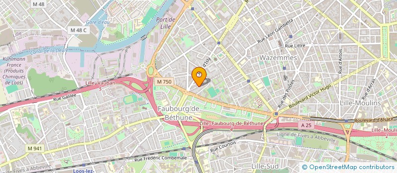 localisation de l'entreprise MADAME MALVINA DE SLIZEWICZ à LILLE