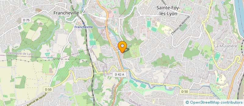 localisation de l'entreprise MADAME MAME MARIE SOUMARE  SAINTE-FOY-LES-LYON