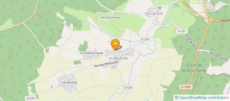 localisation de l'entreprise MADAME MANANA TADEVOSYAN  VICHY