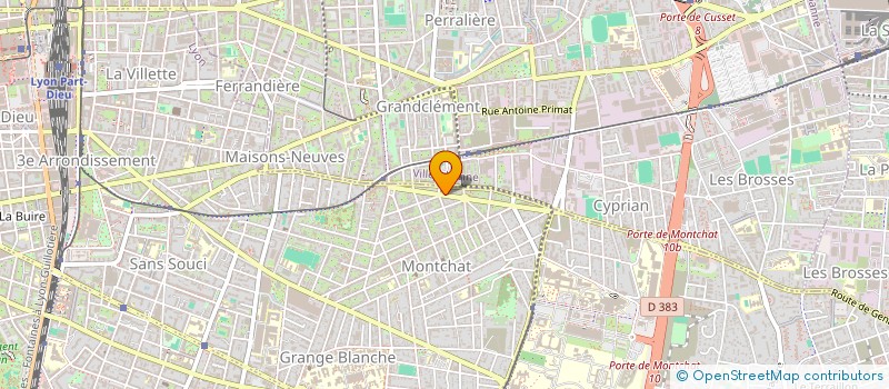 localisation de l'entreprise MADAME MANEL BELDI  LYON