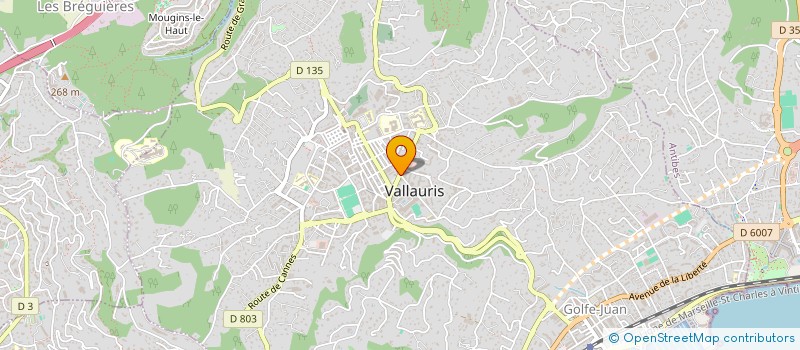 localisation de l'entreprise MADAME MANEL ZRAIRI à VALLAURIS