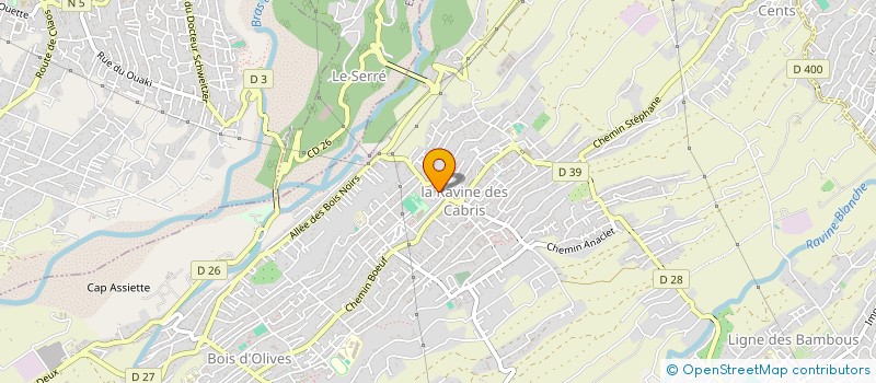 localisation de l'entreprise MADAME MANITRA NANDRIANINTSOA  SAINT-PIERRE