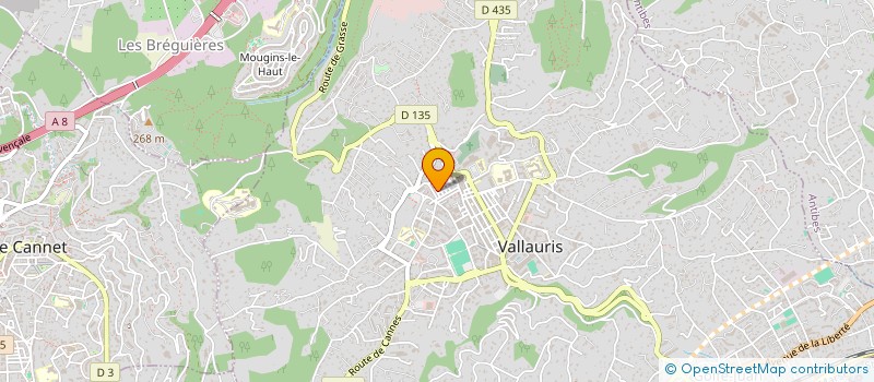 localisation de l'entreprise MADAME MANIVONE KHAMDETH à VALLAURIS
