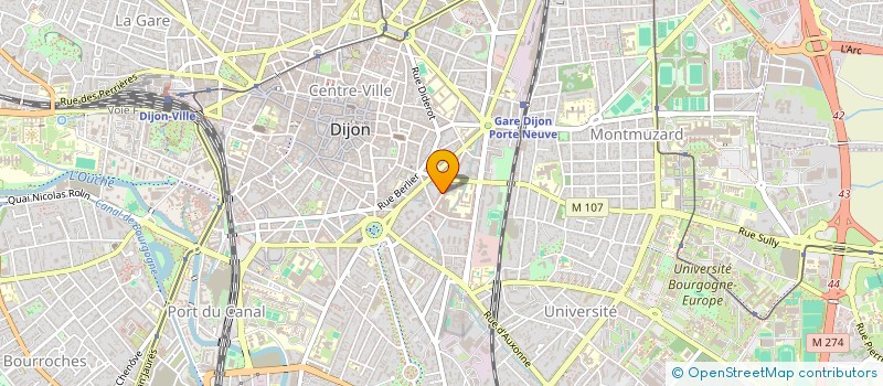 localisation de l'entreprise MADAME MANON BOUGET à DIJON