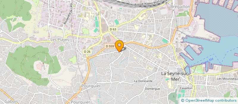 localisation de l'entreprise MADAME MANON CHANE CHAN  LA SEYNE-SUR-MER