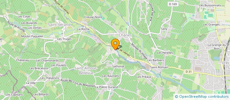 localisation de l'entreprise MADAME MANON CHOTARD  SAINT-AMOUR-BELLEVUE