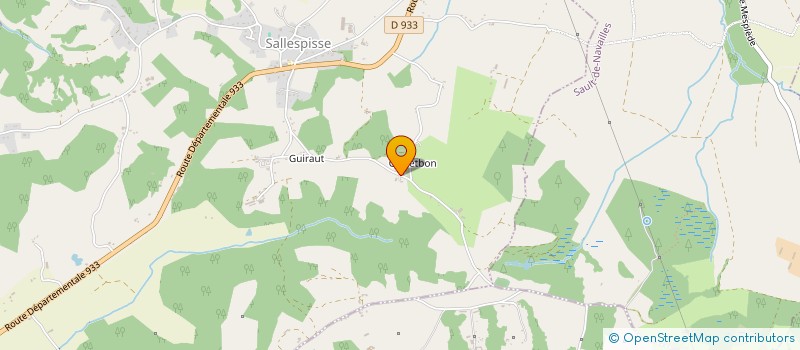 localisation de l'entreprise MADAME MANON DA SILVA  SALLESPISSE