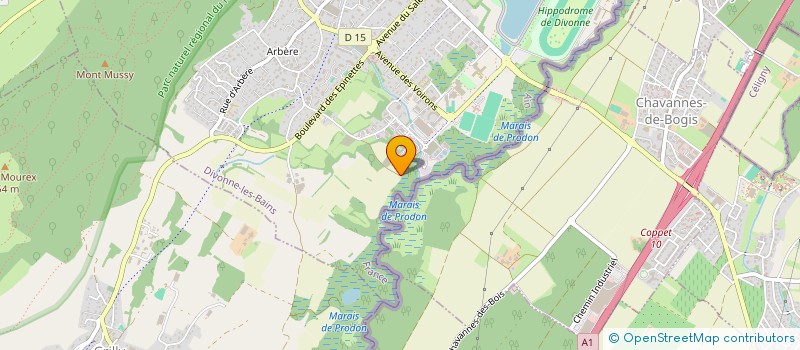 localisation de l'entreprise MADAME MANON DEDINGER  DIVONNE-LES-BAINS