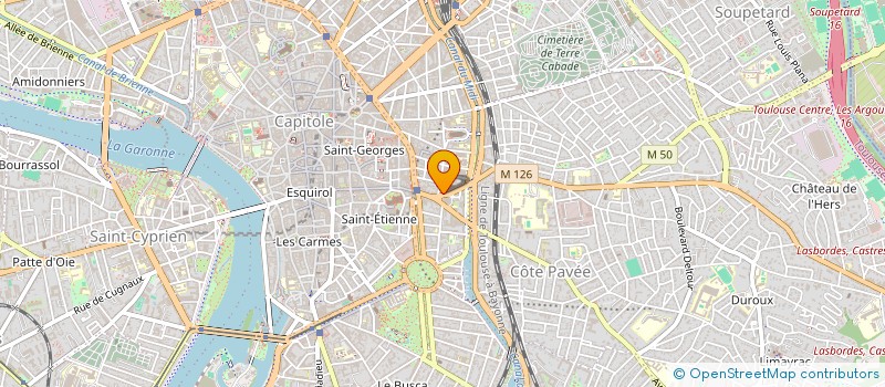 localisation de l'entreprise MADAME MANON DESCOINS à TOULOUSE