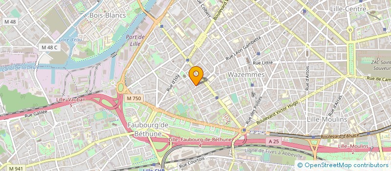 localisation de l'entreprise MADAME MANON DUBOIS à LILLE