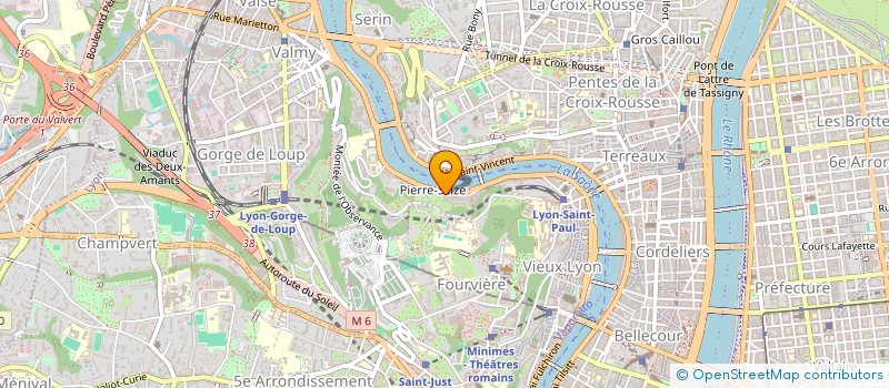 localisation de l'entreprise MADAME MANON FLEURY à LYON