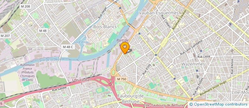 localisation de l'entreprise MADAME MANON GRAVELINE à LILLE