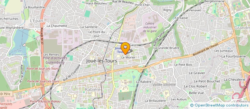 localisation de l'entreprise MADAME MANON HENNEQUIN  JOUE-LES-TOURS