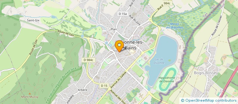 localisation de l'entreprise MADAME MANON LAOUENAN  DIVONNE-LES-BAINS