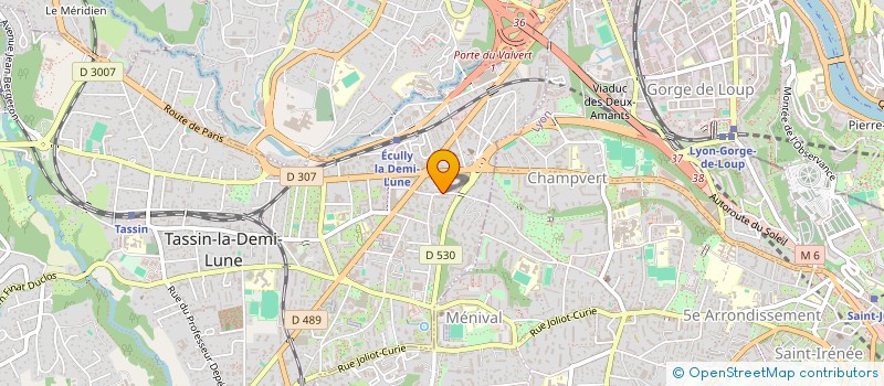 localisation de l'entreprise MADAME MANON LOMBARD RIQUELME  TASSIN-LA-DEMI-LUNE