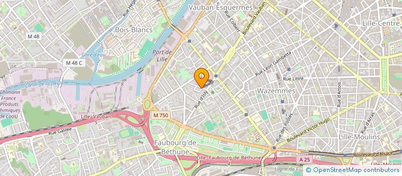 localisation de l'entreprise MADAME MANON MASCLEF à LILLE