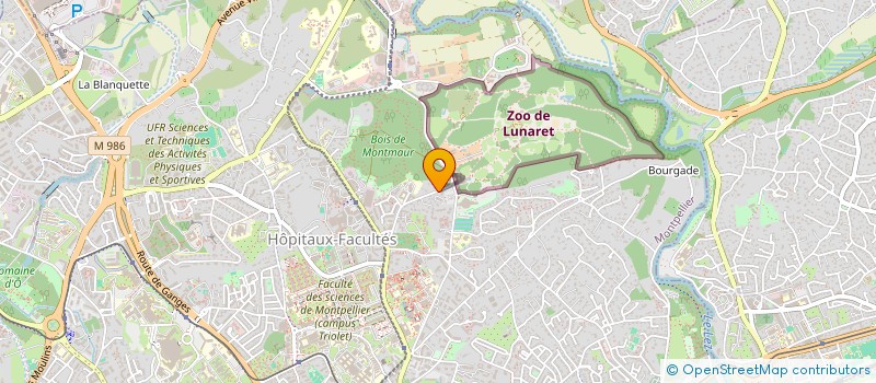 localisation de l'entreprise MADAME MANON MOREL  MONTPELLIER