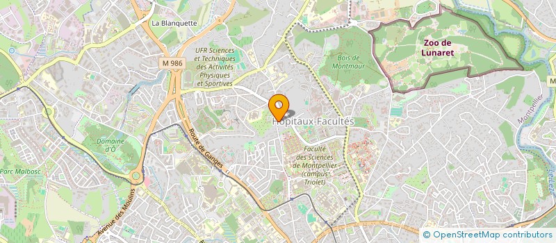 localisation de l'entreprise MADAME MANON REGIS à MONTPELLIER
