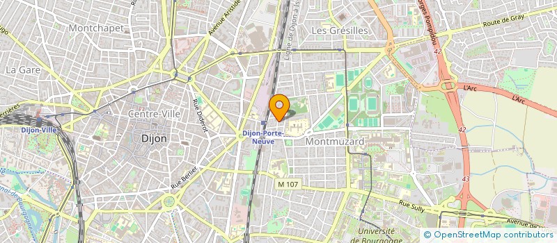 localisation de l'entreprise MADAME MANON REVERT à DIJON