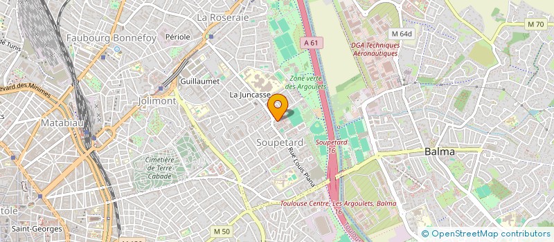 localisation de l'entreprise MADAME MANON RICHARD  TOULOUSE