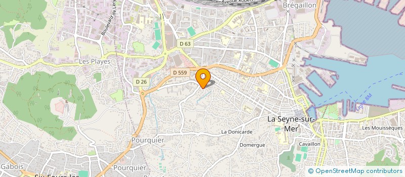 localisation de l'entreprise MADAME MANON VERA  LA SEYNE-SUR-MER