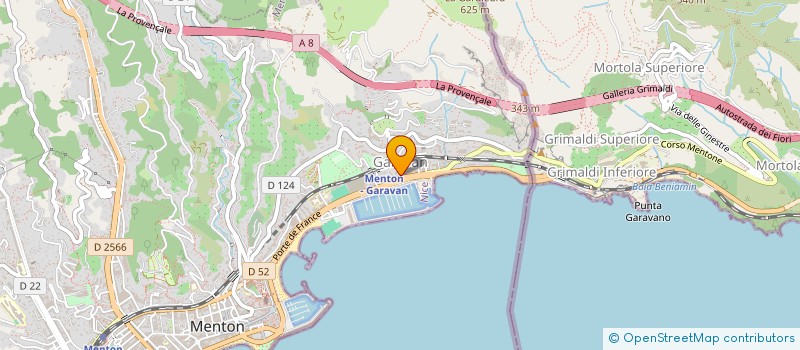 localisation de l'entreprise MADAME MANUELA POZO RAMOS à MENTON