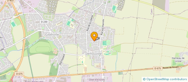 localisation de l'entreprise MADAME MANUELA RICHARD  DEMOUVILLE