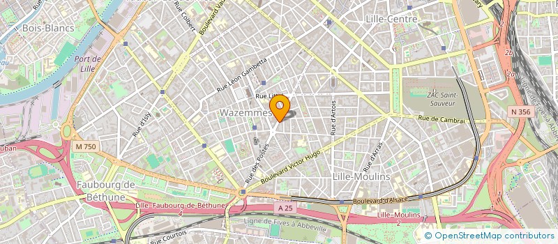 localisation de l'entreprise MADAME MANUELLA DJILA YOUBI à LILLE