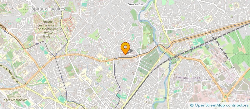 localisation de l'entreprise MADAME MANUHERE TUANIA à MONTPELLIER
