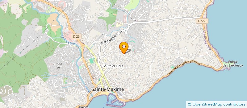 localisation de l'entreprise MADAME MARCEL BARBOSA à SAINTE-MAXIME