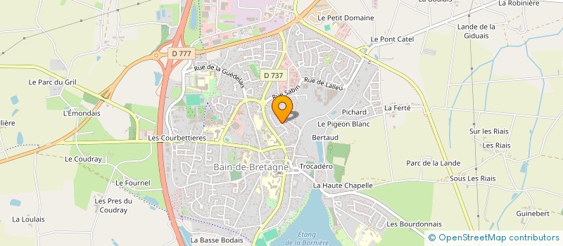 localisation de l'entreprise MADAME MARCELA PUERTO  BAIN-DE-BRETAGNE