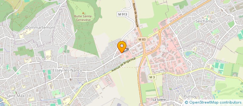 localisation de l'entreprise MADAME MARCELLE BURTIN  ESSEY-LES-NANCY