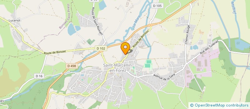 localisation de l'entreprise MADAME MARCELLE THEVENET à SAINT-MARCELLIN-EN-FOREZ