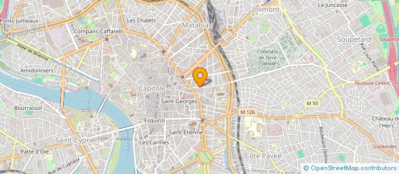localisation de l'entreprise MADAME MARGARITA CHERUBINI à TOULOUSE