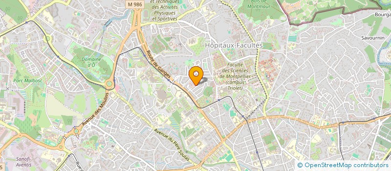 localisation de l'entreprise MADAME MARGARITA GONZALEZ à MONTPELLIER
