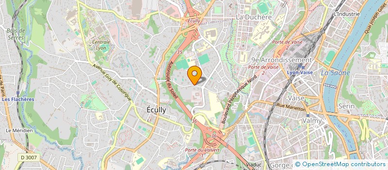 localisation de l'entreprise MADAME MARGARITA KOLESNILOVA  ECULLY