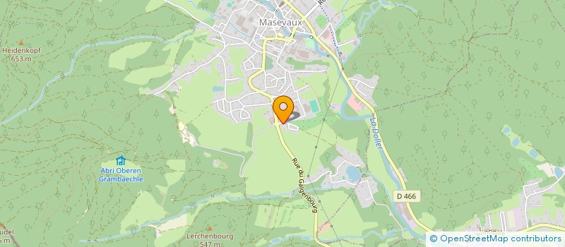 localisation de l'entreprise MADAME MARGOT BERTRAND  MASEVAUX-NIEDERBRUCK