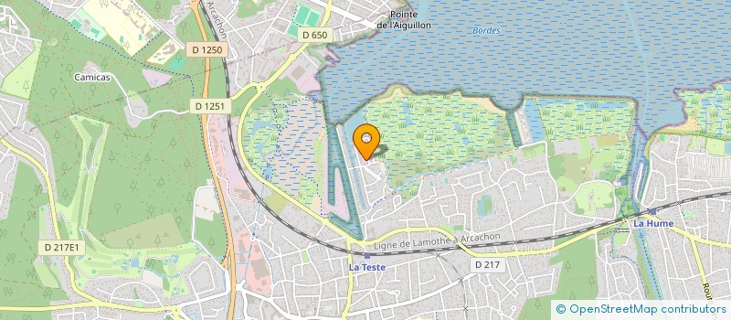 localisation de l'entreprise MADAME MARGOT BORG  ASCAIN