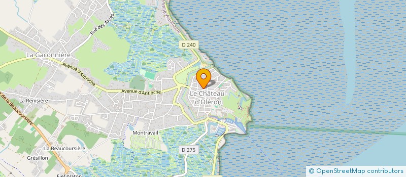 localisation de l'entreprise MADAME MARGOT COCQUET  LE CHATEAU-D'OLERON