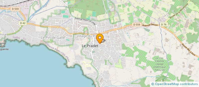 localisation de l'entreprise MADAME MARGOT GAUCHET  LE PRADET