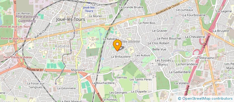 localisation de l'entreprise MADAME MARGOT THEULEAU  JOUE-LES-TOURS