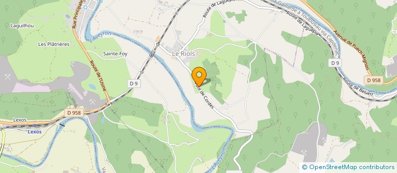 localisation de l'entreprise MADAME MARGUERITE BOUYSSIERE  LE RIOLS