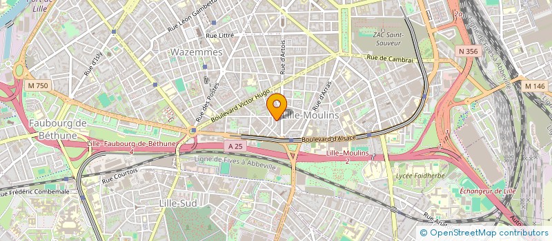 localisation de l'entreprise MADAME MARGUERITE GOUDOT à LILLE