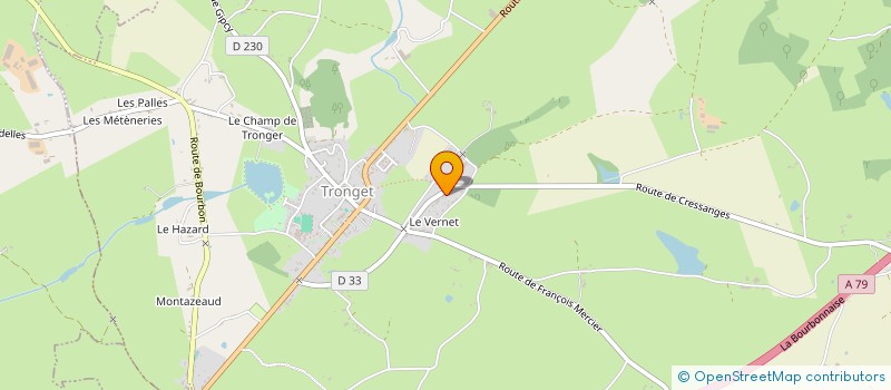 localisation de l'entreprise MADAME MARGUERITE LARONDE  TRONGET