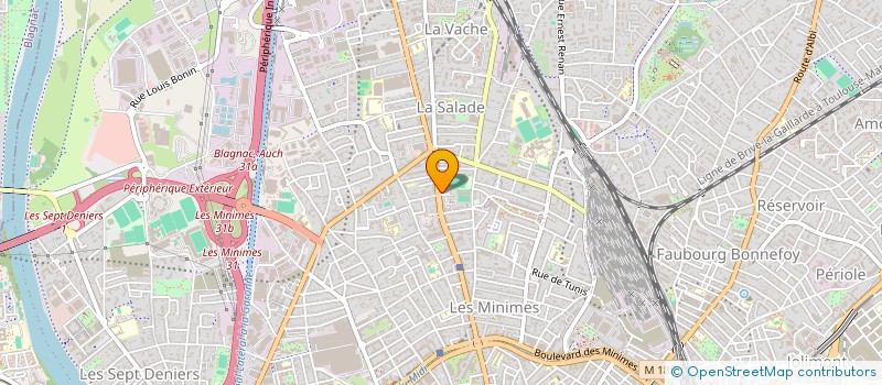 localisation de l'entreprise MADAME MARIA AFONSO à TOULOUSE