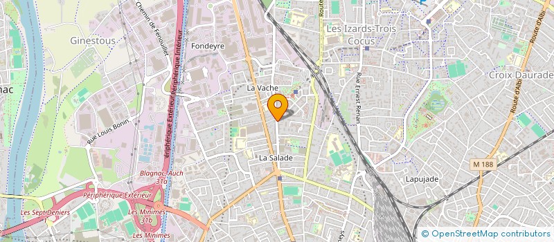 localisation de l'entreprise MADAME MARIA BERRAL ARJONA à TOULOUSE
