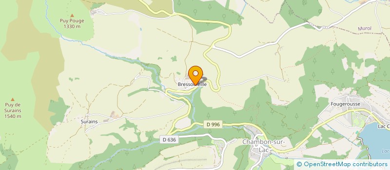 localisation de l'entreprise MADAME MARIA BLIJLEVENS à CHAMBON-SUR-LAC