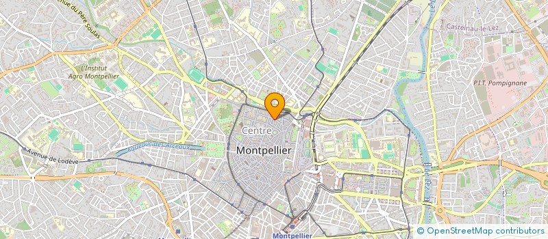 localisation de l'entreprise MADAME MARIA CHAQUES SERRANO à MONTPELLIER
